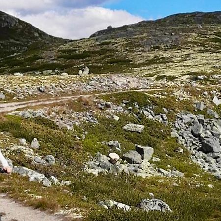 Mountain Retreat In Uvdal Wifi Sauna Εξωτερικό φωτογραφία